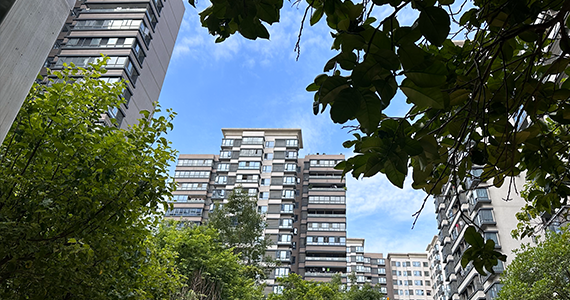 网易企业邮箱申请公共邮箱